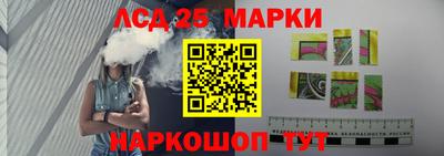 гидра Будённовск