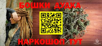 гидра Будённовск